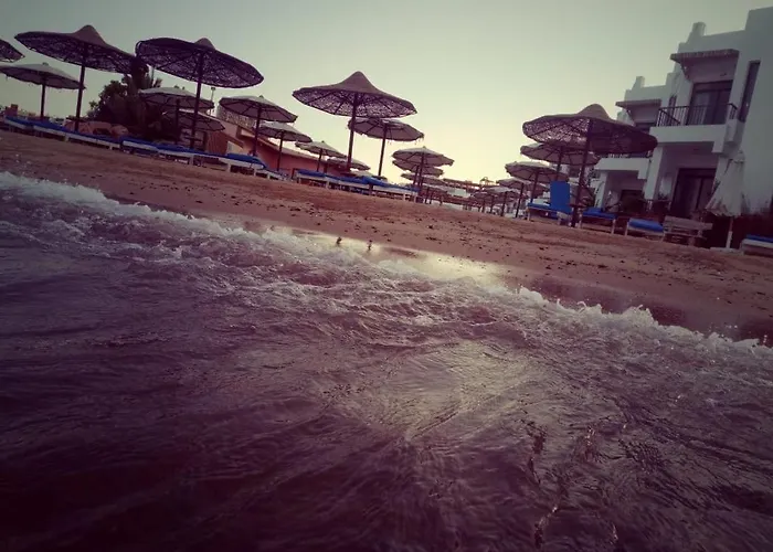 Charbel 4*
